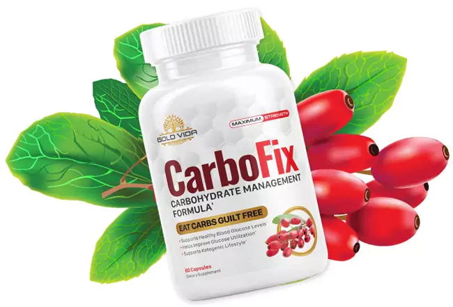 CarboFix Details