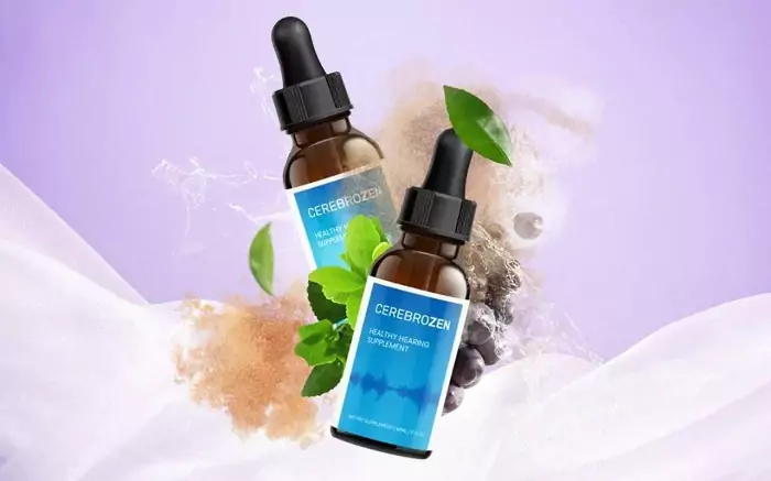 What Makes CerebroZen Stand Out