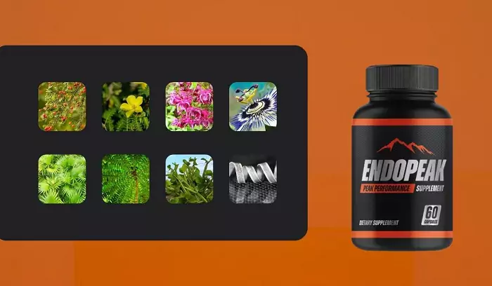 Know About EndoPeak