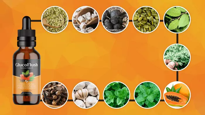 What Makes GlucoFlush Stand Out