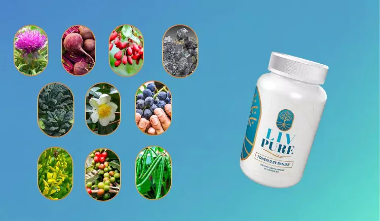 Know About Liv Pure