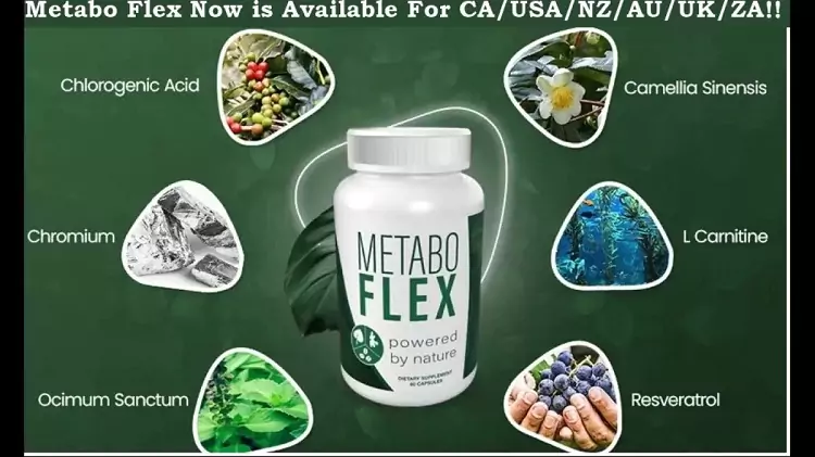 Metabo Flex Details