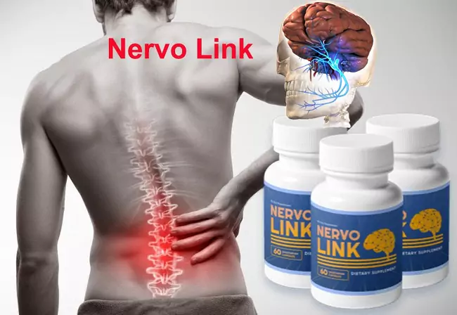 Nervolink Details