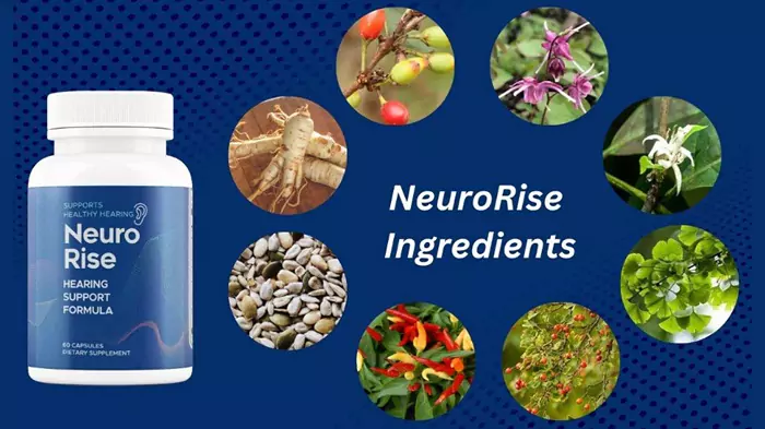 Know About NeuroRise