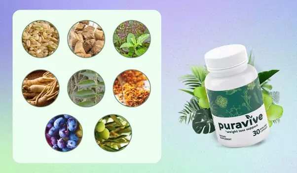 Know About Puravive