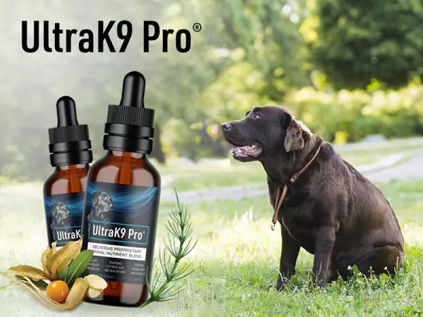 What Makes UltraK9 Pro Stand Out