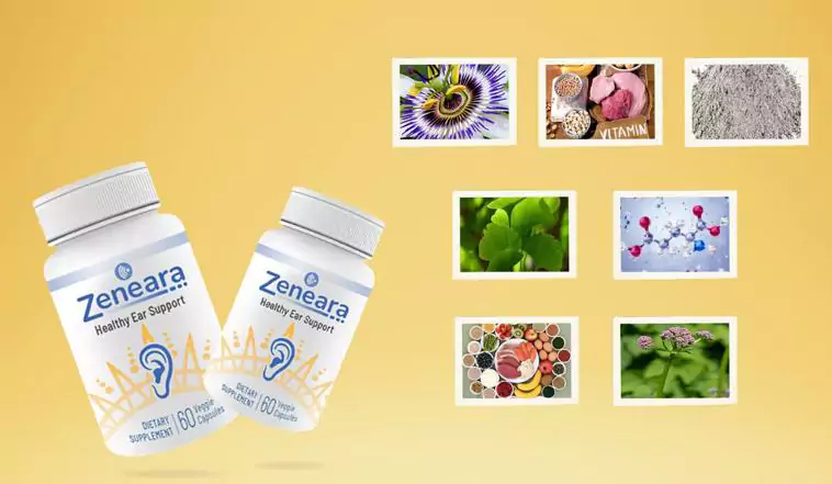 Know About Zeneara