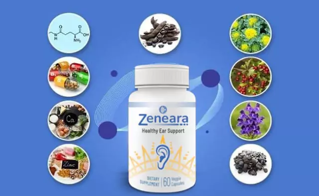 What Makes Zeneara Stand Out